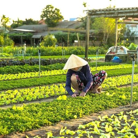 Hoi An Cabbage Garden Apartment Luaran gambar
